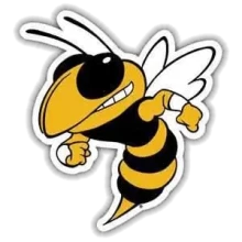 McAdory High School - Yellow Jackets