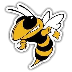 McAdory High School - Yellow Jackets